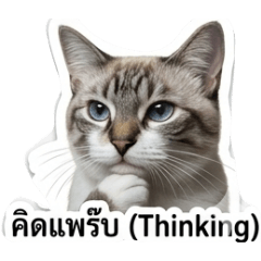 kk83_20260504161816