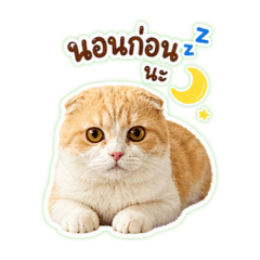 My Jinping2