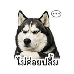 Nanishop_20260504163145