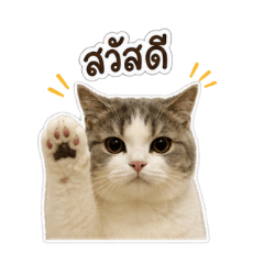 mei_20260504162744