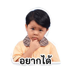 TAAMY119_20260504163124