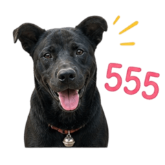 Happy_20260504163618