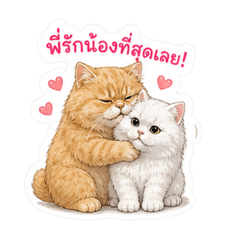 Jarunat Kaewpinit_20260504163615