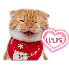 Cat Ungang_20260504163500