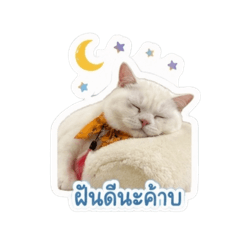 Thung Ngern_20260504163731