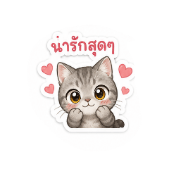 Mee Tang_20260504163213