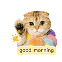 Aritsara's_20260504164505