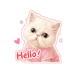 Lukkwad Strawberry Cat