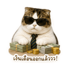Jajar cat family_20260504164750