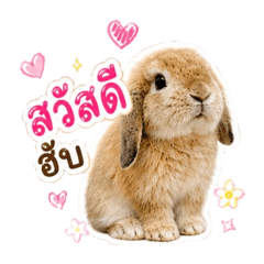 ToM Witsarut_20260504164831