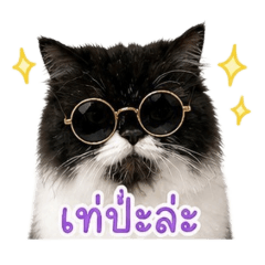 soku_20260504164943