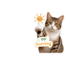 Zansinee_20260504164936