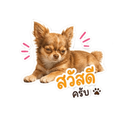 Sky_20260504165218