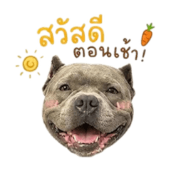 Ork_20260504165311