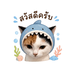 fumny_20260504170143