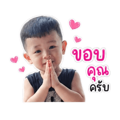 TIGER_20260504170008