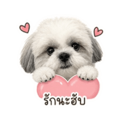 Panwanat_20260504170453