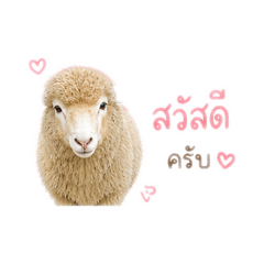 Good morning_20260504171002