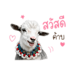 Good morning_20260504171142