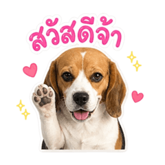 Airin_20260504165359