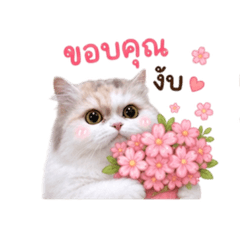 Kunnui_20260504171457