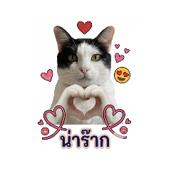 num_20260504171824
