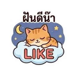 CatBee_20260504171053