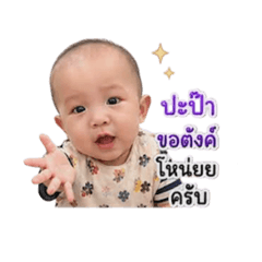pp_20260504172051