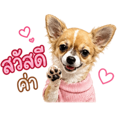 KnJin_20260504172247