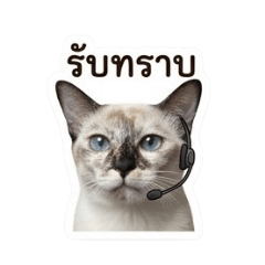 RiCky_20260504172207