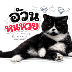 Midnight Manee_20260504172358
