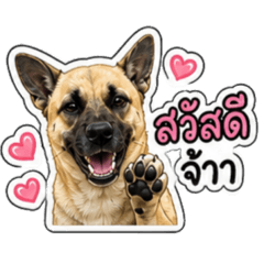 Mintq_20260504172009