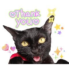 momblackcat_20260504172316