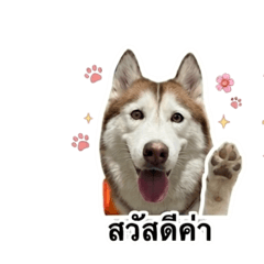 Happy Sign_20260504172420