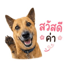 aant_20260504172226