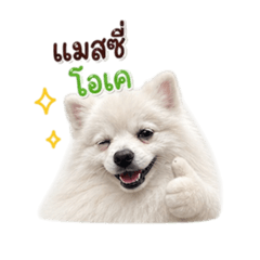 Ilovesmatdog_20260504172536