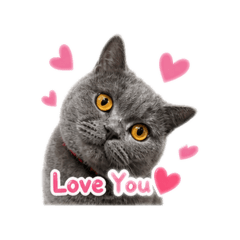 Coby meowww_20260504172653