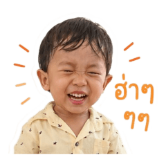 newnew_20260504164001