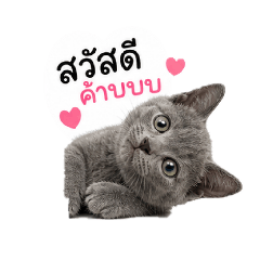 yutyutyoot_20260504170754