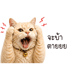 Thannathon_20260504173052