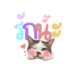 Nan_20260504173915