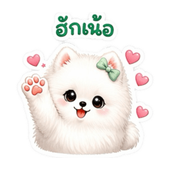 Kan_20260504173938