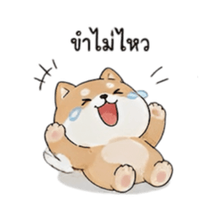 Nickname_20260504173449