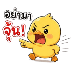 mini_20260504173948