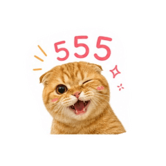 So_20260504174001