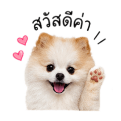 Ham Ham_20260504174116
