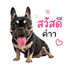 WANNICHA_20260504174503