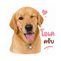 Onum of love_20260504175315