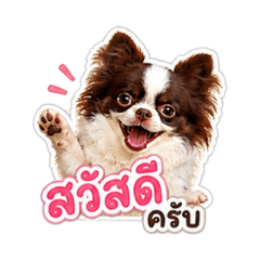 Sky_20260504175215