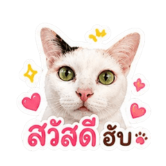 gamemhee_20260504175734